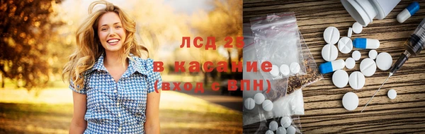 ГАЛЛЮЦИНОГЕННЫЕ ГРИБЫ Волосово