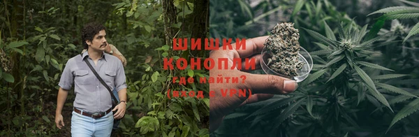 ГАЛЛЮЦИНОГЕННЫЕ ГРИБЫ Волосово